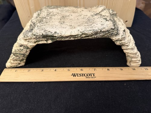 Zilla pet reptile - pet,